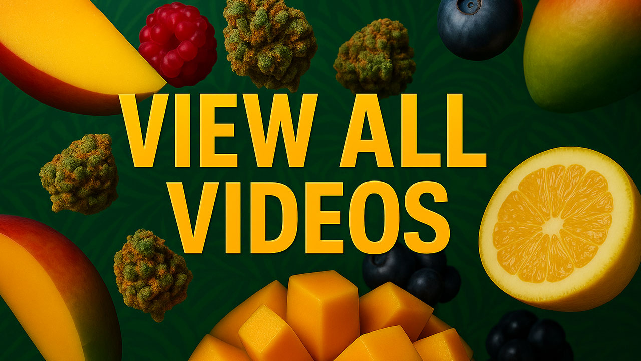 All NUUG BAR Videos Thumbnail